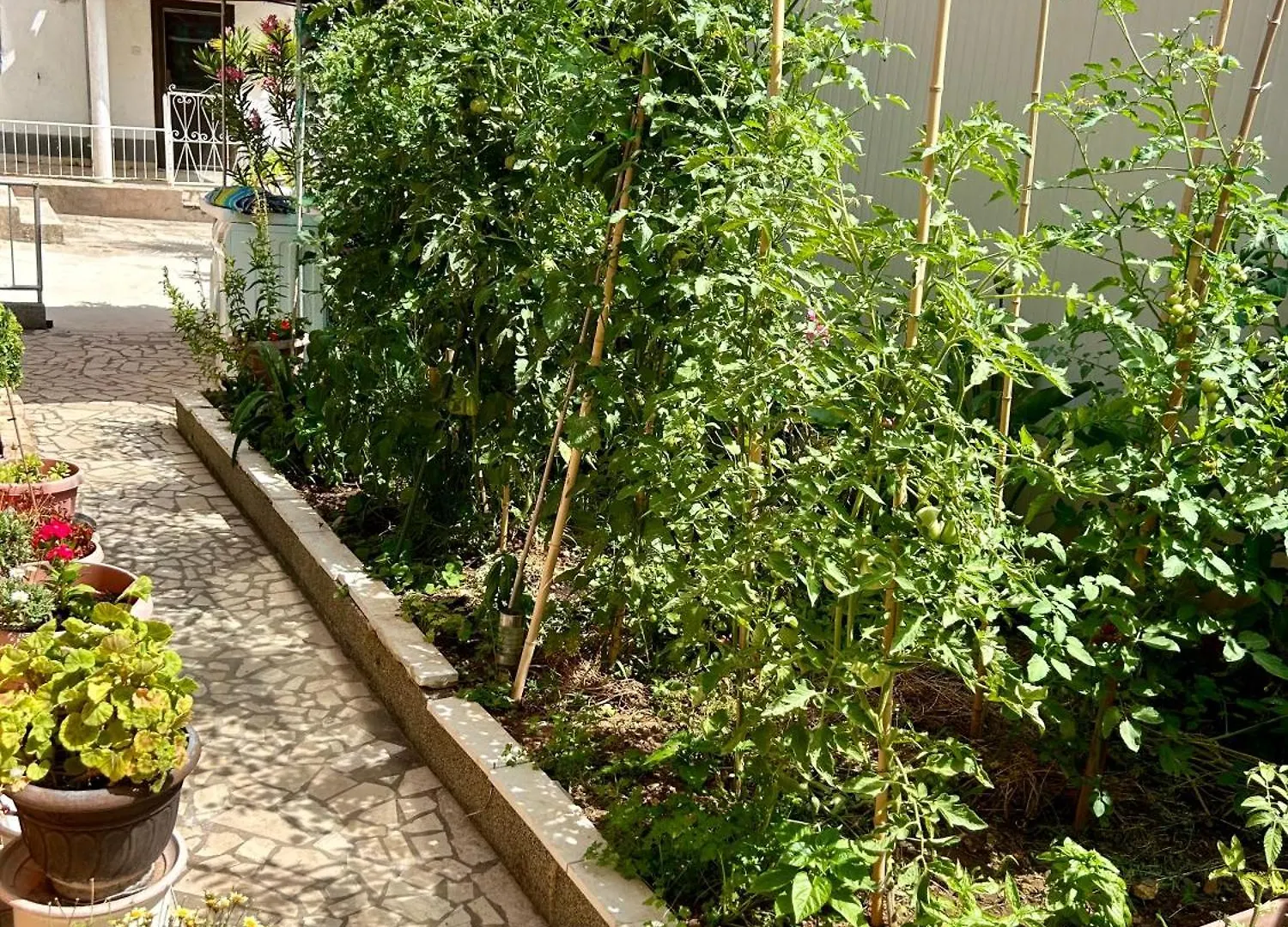 City Center Room With Balcony Pola
